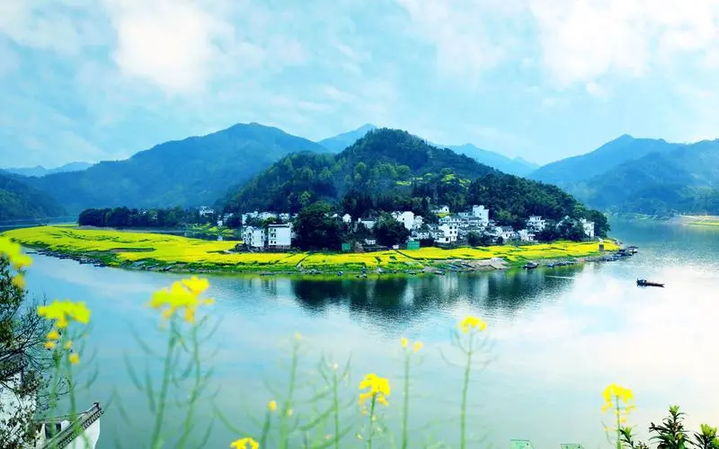 绿色高标准